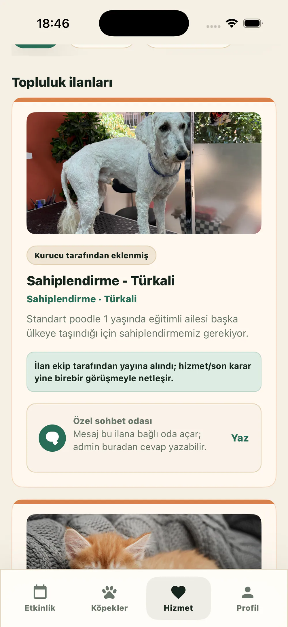 Aktif Pati community listing screen for local dog owner help