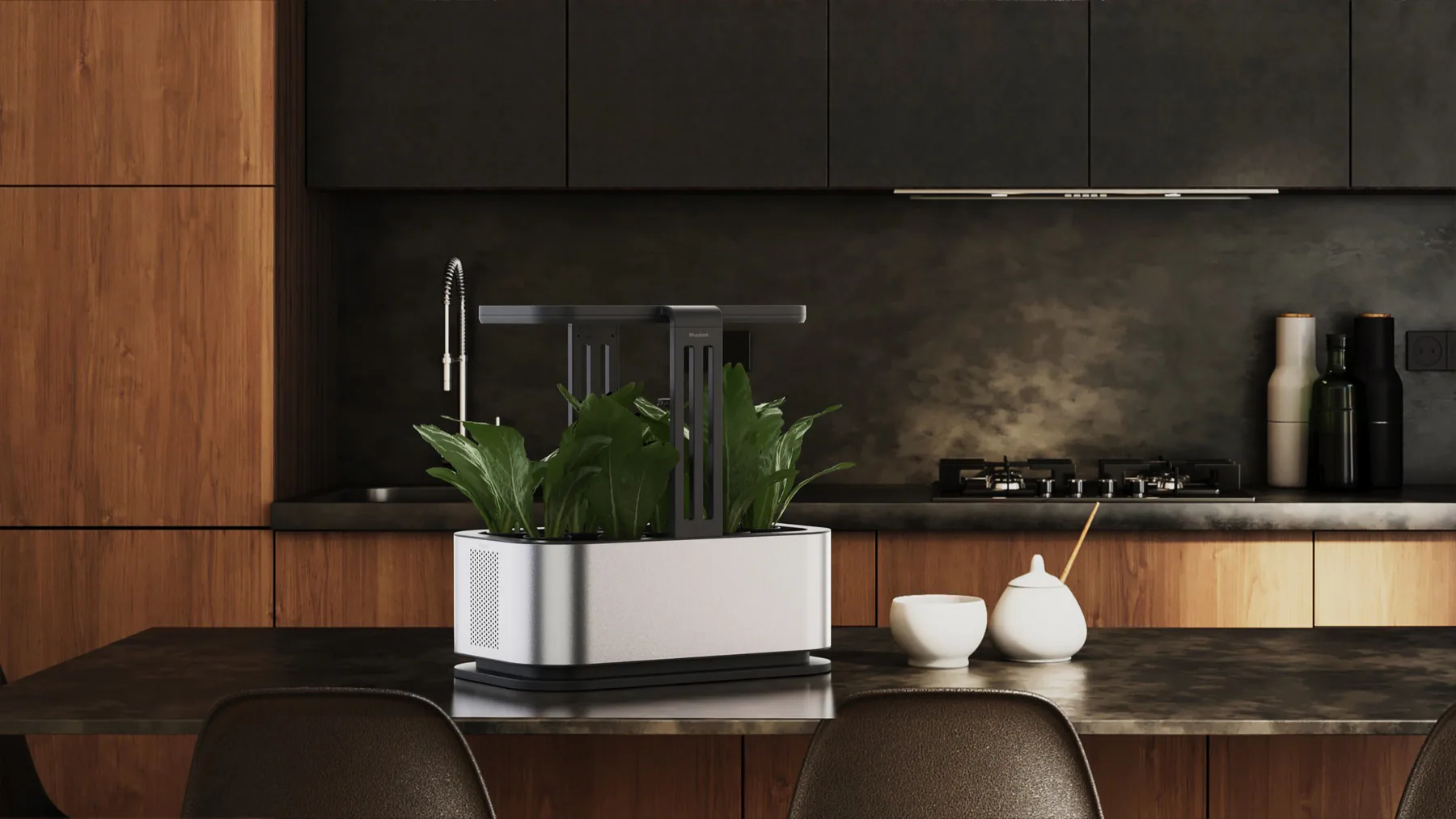 Smart Garden / Rhodark